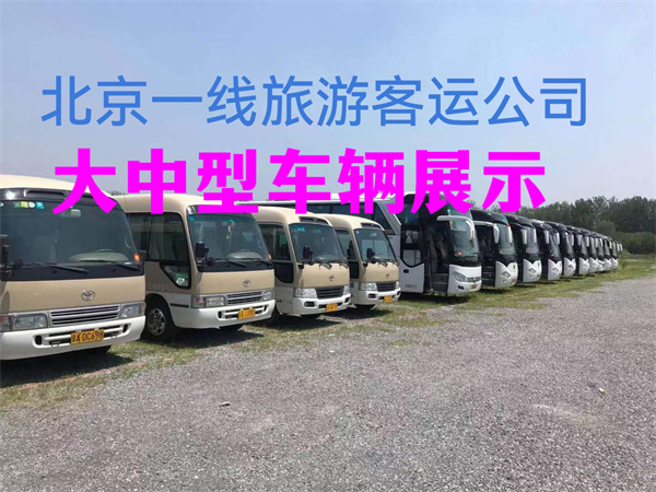 商务租车